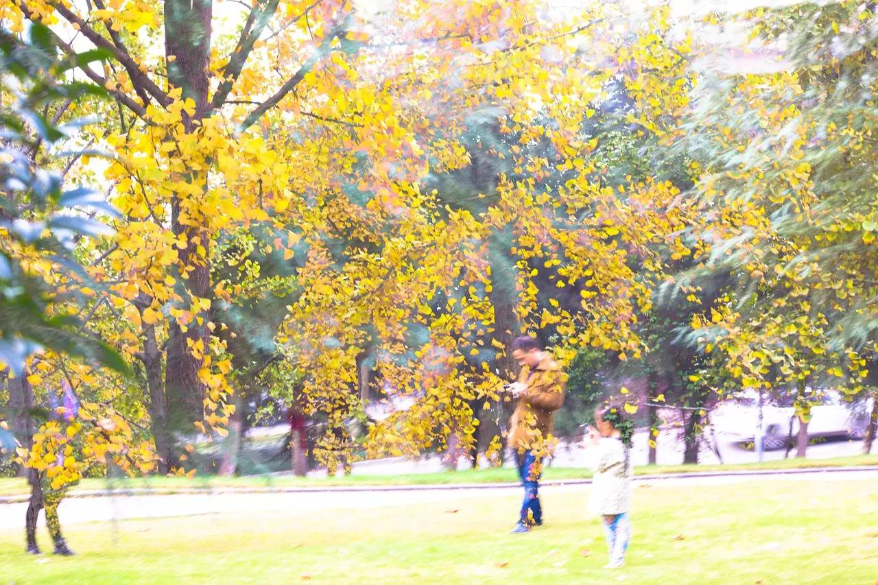 不会玩多曝摄影？看完这10个问题就会了