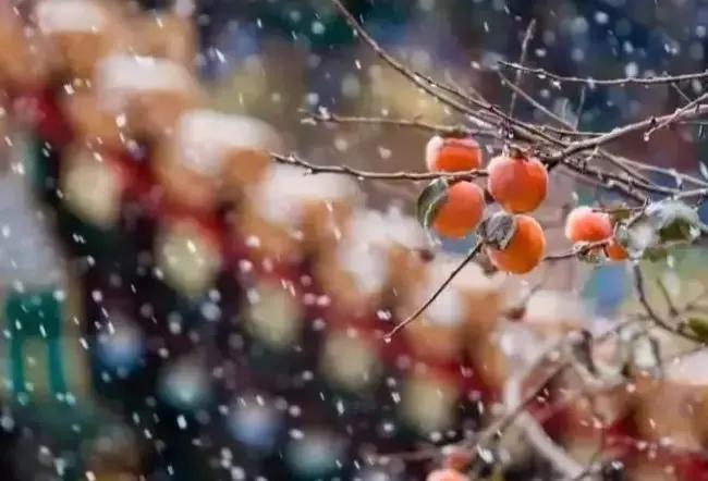 聪明人反而一事无成,聪明人懂得独善其身