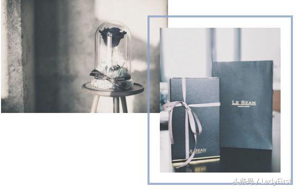 好物分享让生活充满精致感,好物分享生活必需品