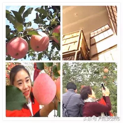 延安:宜川县多管齐下 培育经济新动能