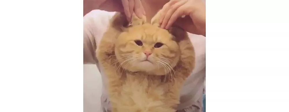 韩国化妆品千万别乱买！范冰冰推荐的日货也有问题！