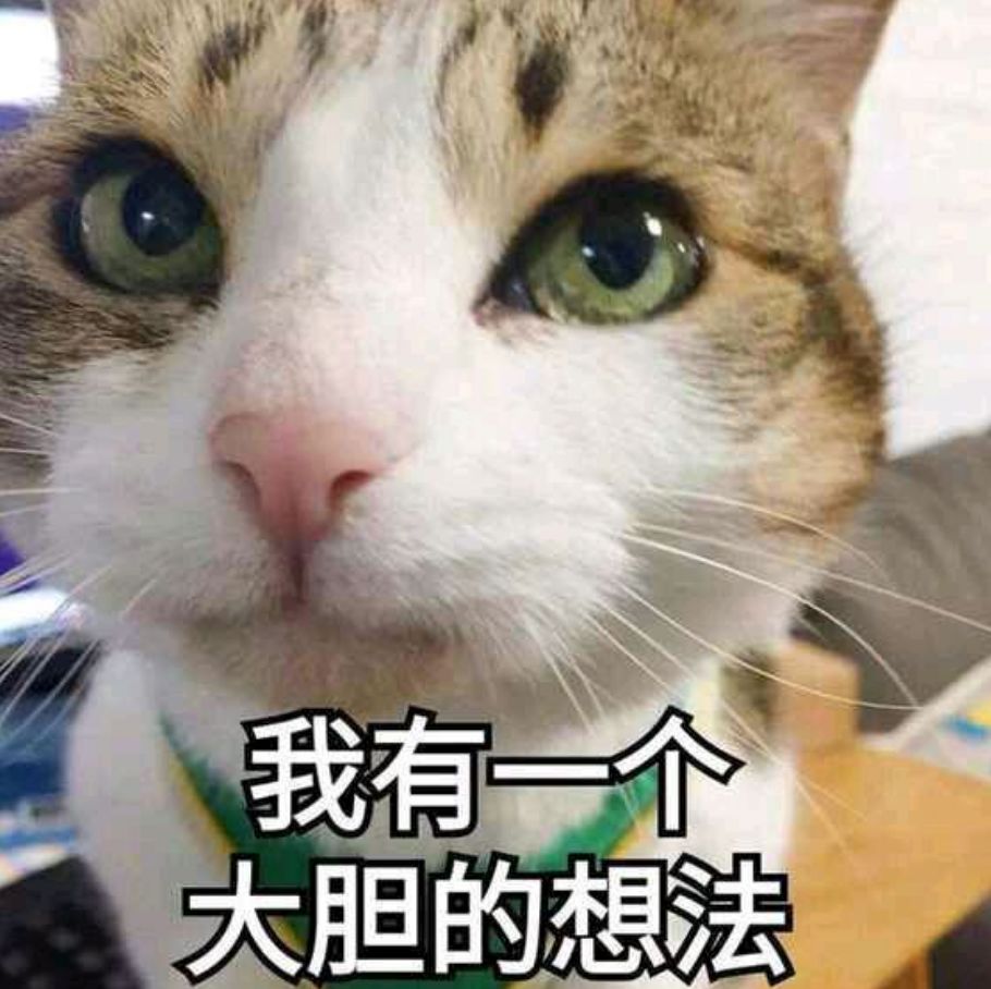 猫咪睡觉的地方应该在哪,猫咪在房间里躲起来怎么都找不到