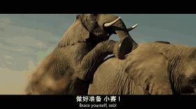 特别搞笑的英国电影推荐,9部爆笑英国电影