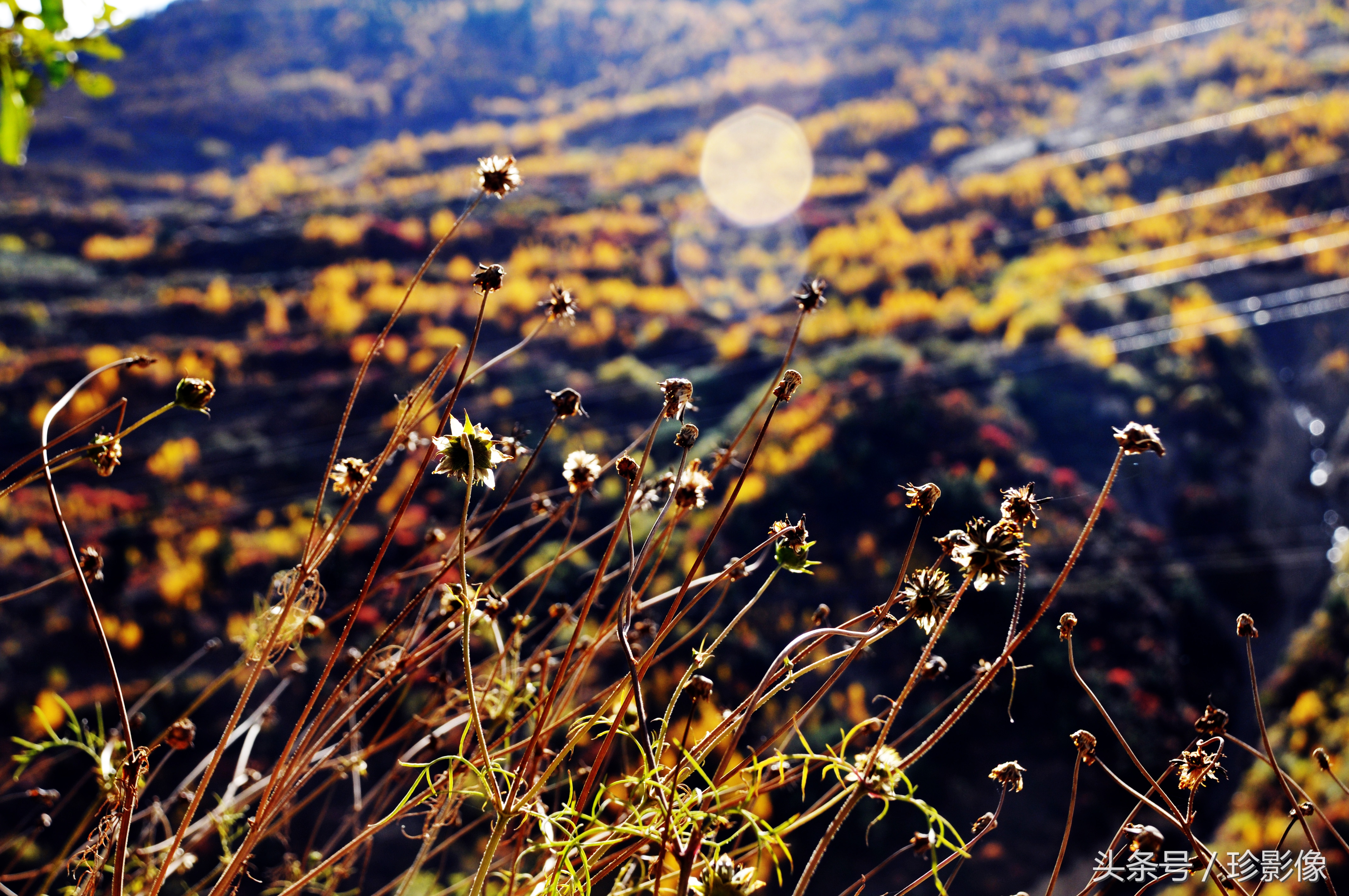 宏盛：天道酬勤，援建十年后羽化成蝶