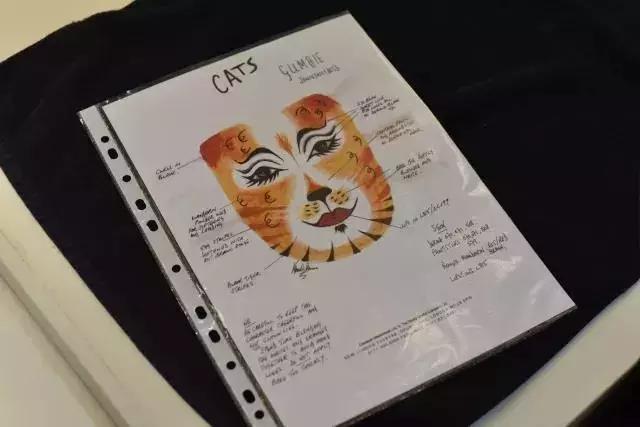 世界名著中的猫,盘点千奇百怪的猫