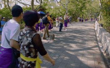 动物灵活训练,训练动物必杀技