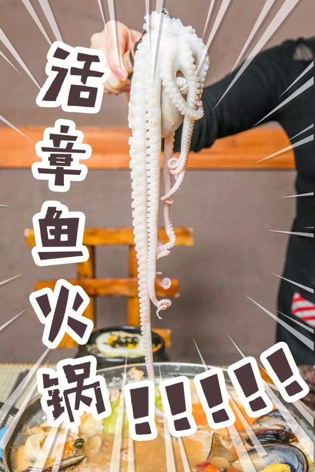 涓婃捣娲荤珷楸肩伀閿呴煩鍥借,涓婃捣闊╁浗琛楁椿绔犻奔鐏攨