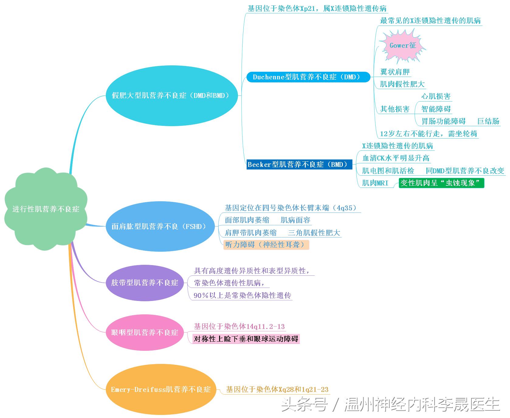 良性肌营养不良自愈的奇迹,进行性肌营养不良分型图表
