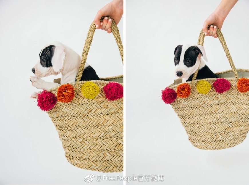 celine草编包颜色有哪些,celine包袋子能配到吗