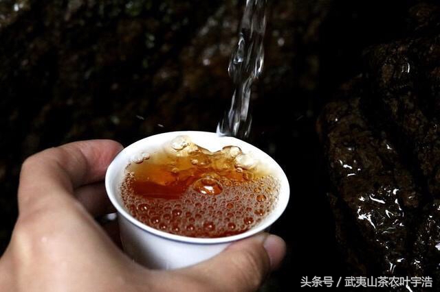 真假大红袍、伪劣大红袍、武夷山茶农世家教你鉴别方法（