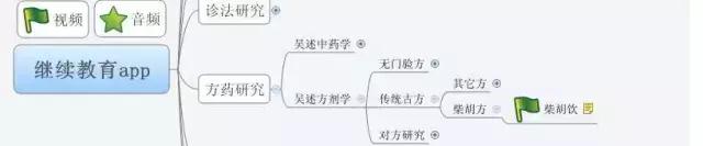 蒋红钢:正柴胡饮治验