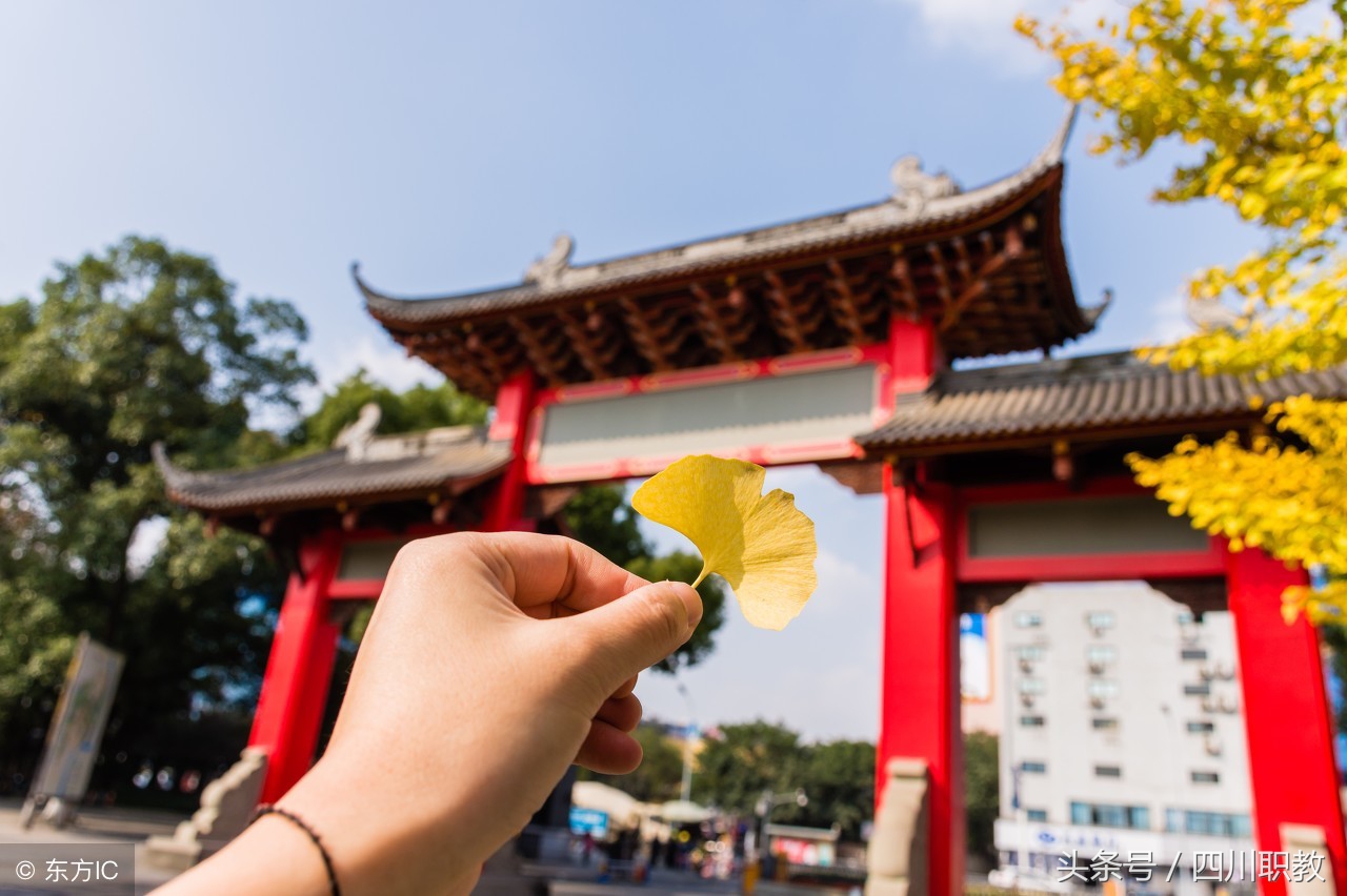 四川有哪些大学招收高水平运动队,四川省高水平运动队名单