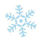 四川成县陈氏香鹅掌,四川成县香鹅掌