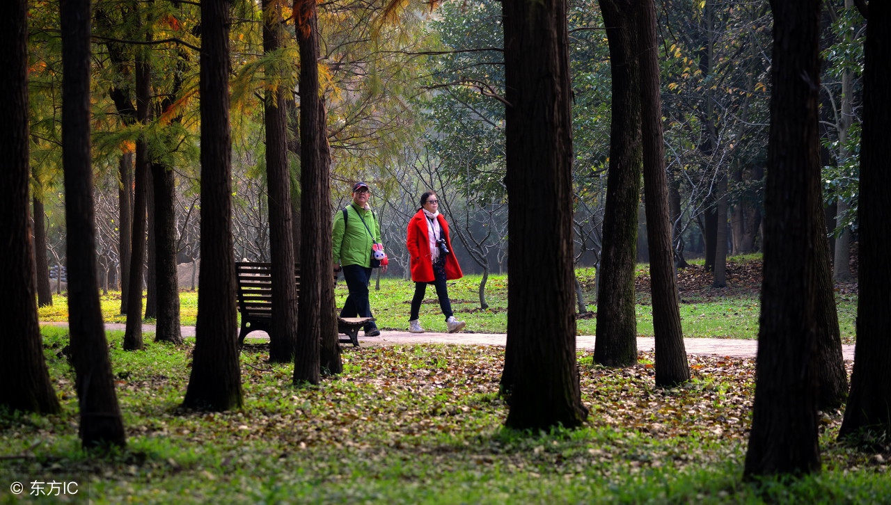 空气污染就在我们身边请警惕,空气严重污染在室内怎么办