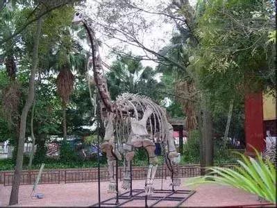 1亿年前的恐龙时代,1亿年前的恐龙