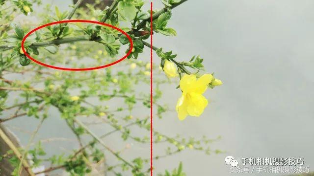 读者投稿点评，这些照片该如何改进？