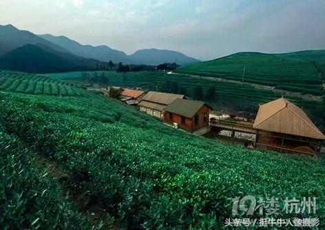 杭州最适合拍婚纱外景的地方,杭州哪里拍婚纱照最美