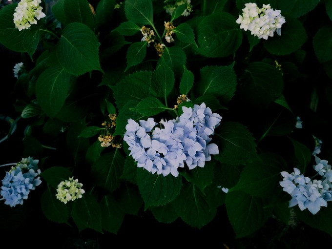 九溪虽小你却没用心体验过，别有一方风味