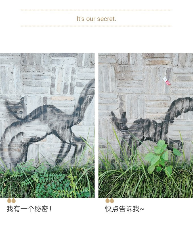 九溪虽小你却没用心体验过，别有一方风味