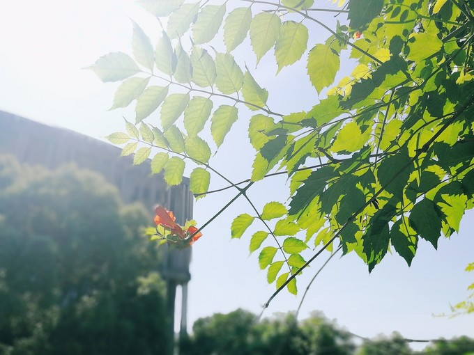 九溪虽小你却没用心体验过，别有一方风味