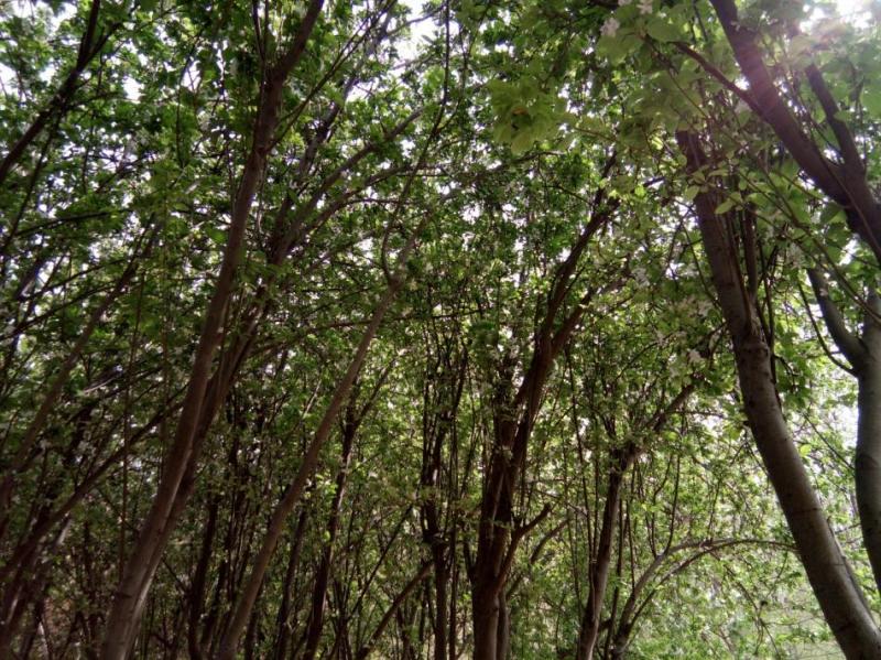 红辣椒全面屏手机,红辣椒手机的优缺点