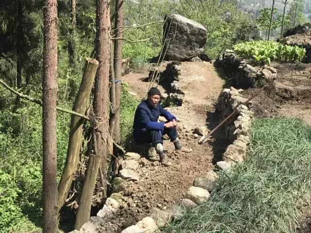 飞两千多公里,得到一座奇幻山林,一个温暖的家,一群有趣的人