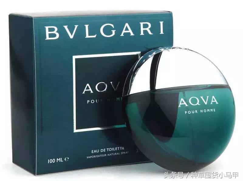 香水女大牌平价,香水中的平价战斗机