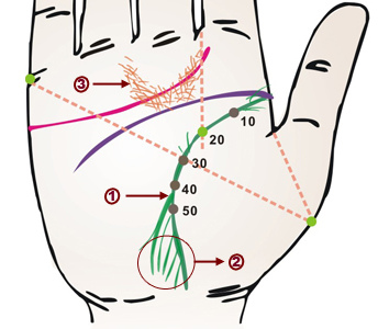 疾病与面相,面相看病人生死之秘诀