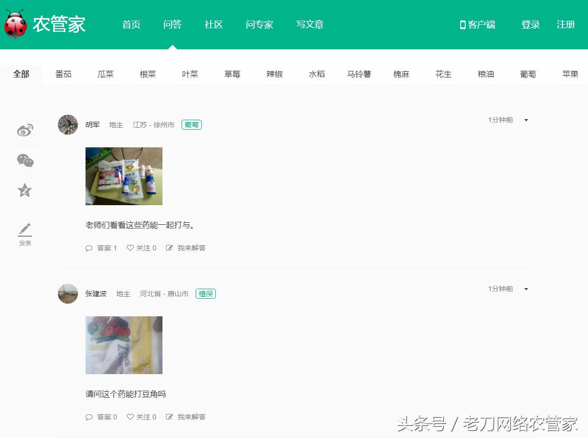 草莓叶片失绿焦枯是什么病害？该用什么办法进行补救