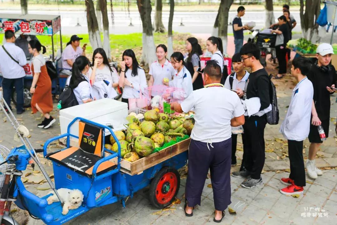 星海音乐学院行进,星海音乐学院声乐系颜值