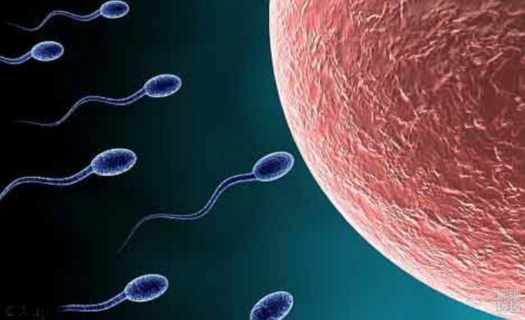 不孕不育专家教你三个穴位,治疗不孕不育最好的名医