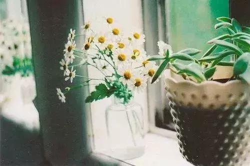 沈阳中学生情侣开房告诉我们，父母的教育才是对孩子最好的保护！