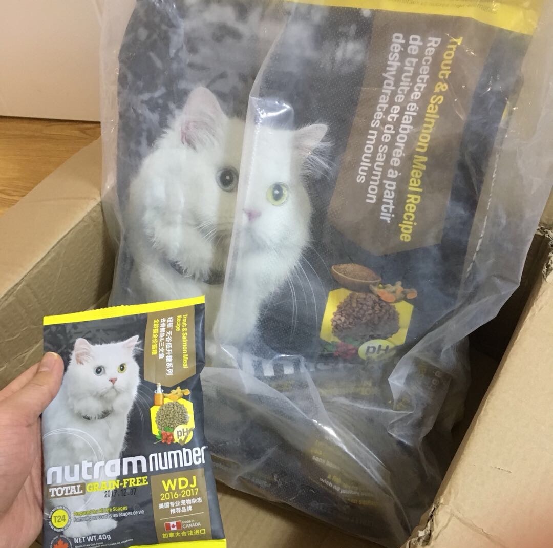 一份猫粮搞定五只小奶猫,一公斤猫粮多少钱