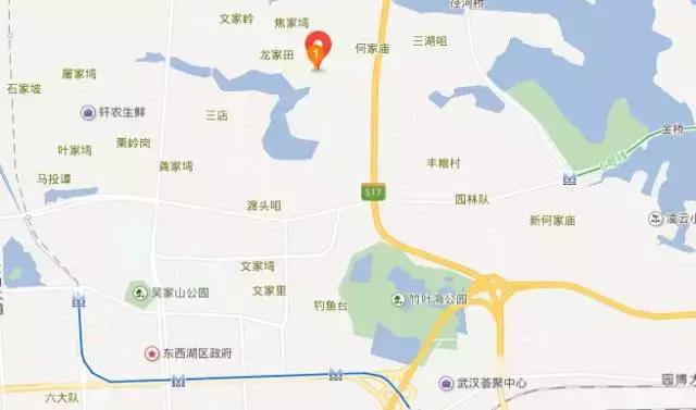 2021武汉民办高中升学率怎么样,武汉民办初中升学率排名