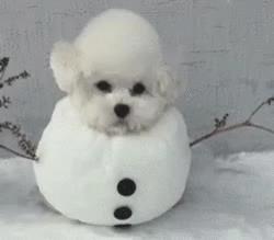 国货正在崛起完整版,韩国化妆品铅超标吗