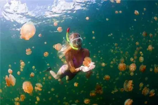 帕劳旅游攻略潜水点,帕劳自由行最值得去的潜水天堂