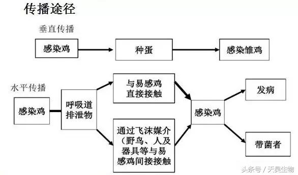 万病之源始于毒素,万病之源起于情志不畅