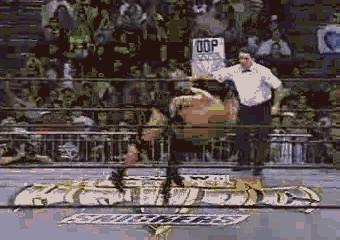 大布高柏以前的视频,猛兽大布跟战神高柏的一较高下