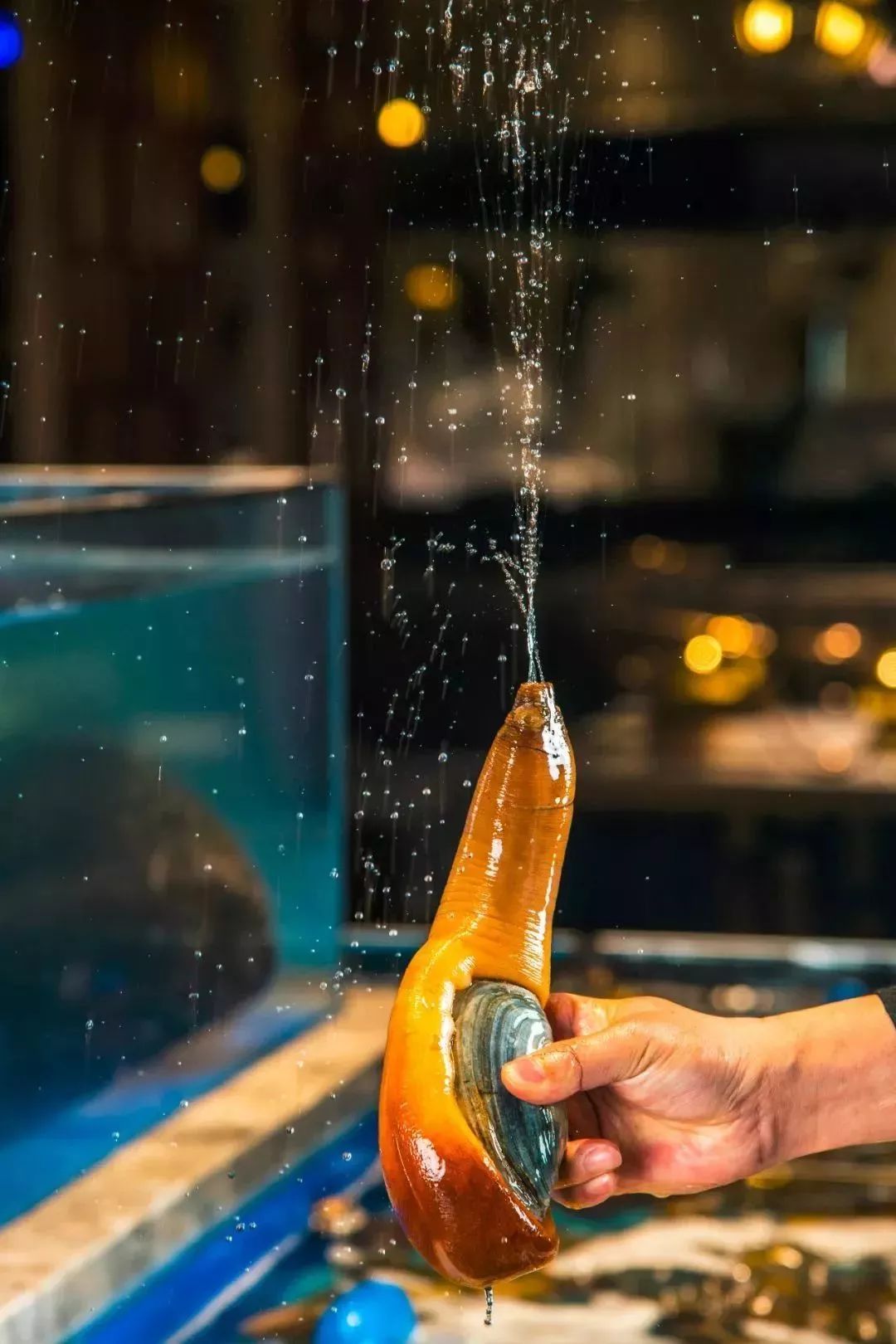 天津高端自助海鲜价位,天津顶级自助海鲜