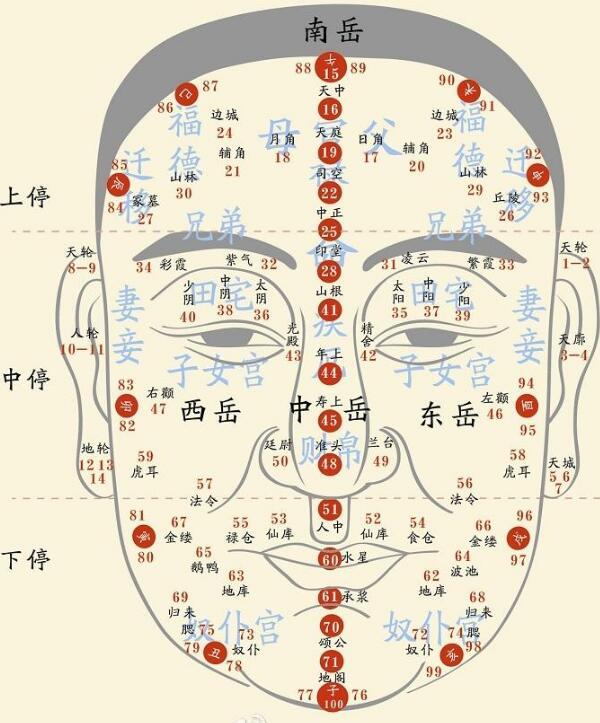 手相面相大全解析,手相面相准不准确怎么看