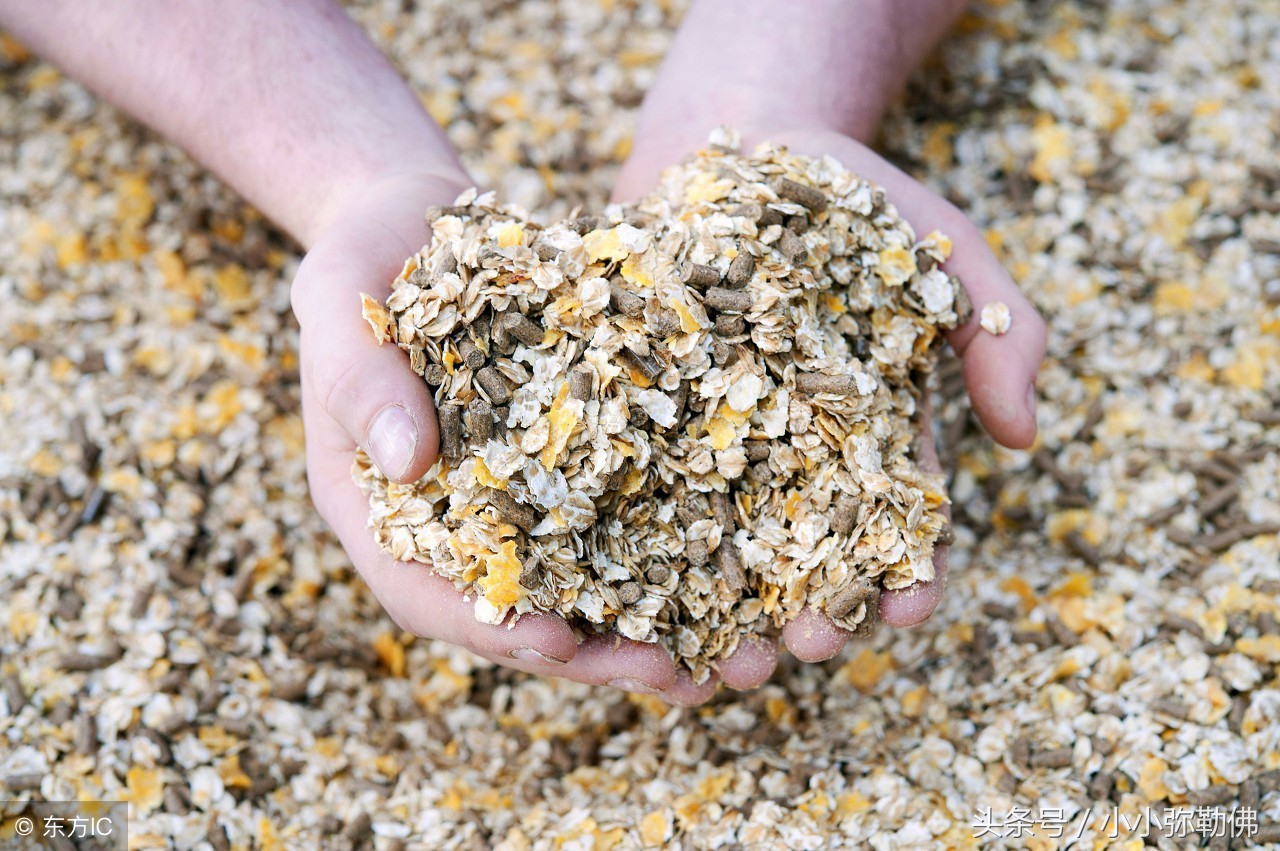 霉菌毒素危害有多大?深度解析霉菌毒素!