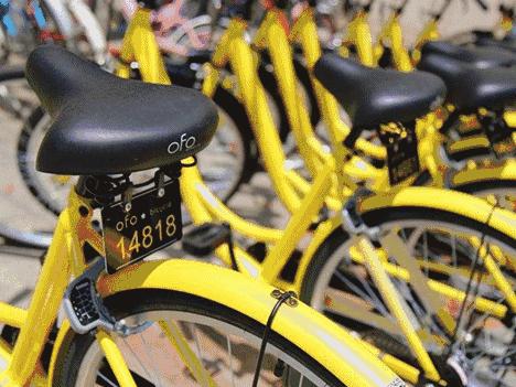 街边共享洗衣机,共享洗衣机一台盈利多少