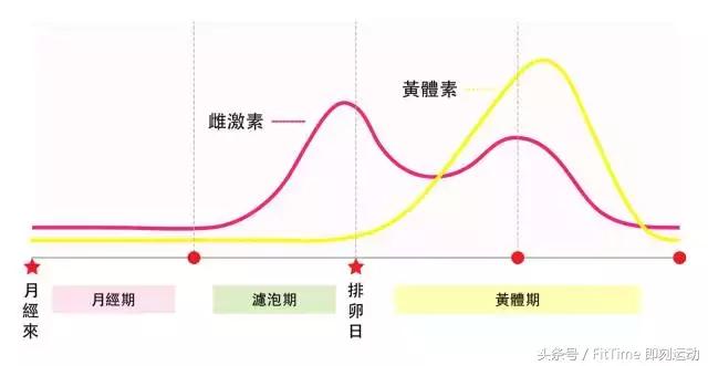 小肚腩瘦不下去怎么办,有肚腩怎么减掉小肚子呢图片
