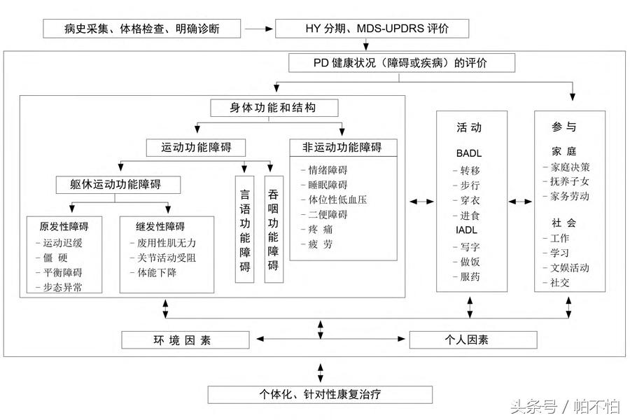 帕金森病治疗康复的八个秘密,帕金森病诊治新理念