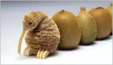 每周一漫|想变高雅的猕猴桃