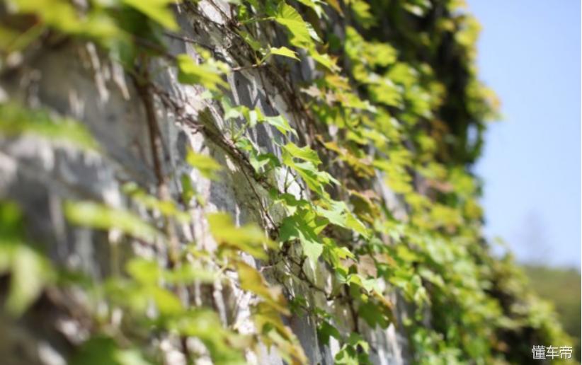 #爵色倾城#MG6和我的第一次春游