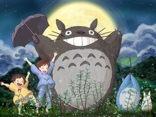 龙猫饲养，小白扫盲，爱护宠物，珍爱生命