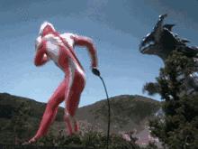 养泥鳅致富卖多少钱一斤,养殖普通泥鳅多少钱一斤