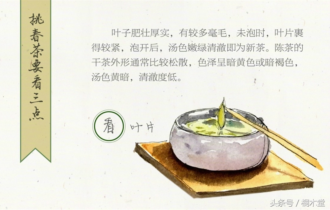一张图读懂各种茶具,一张品茶实用图