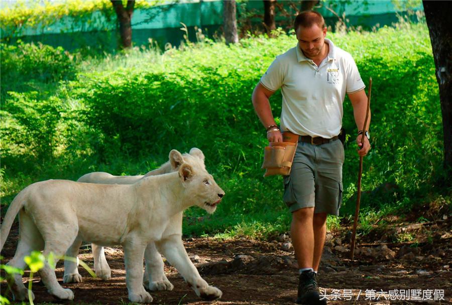 毛里求斯自助游攻略，带你玩转“非洲瑞士”